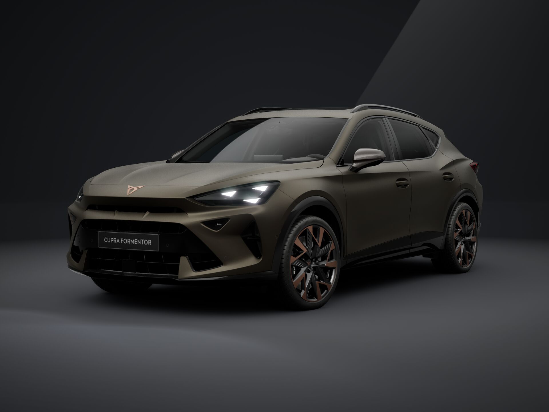 Зображення Formentor VZ 2.0 TSI 333 к.с. DSG 4Drive