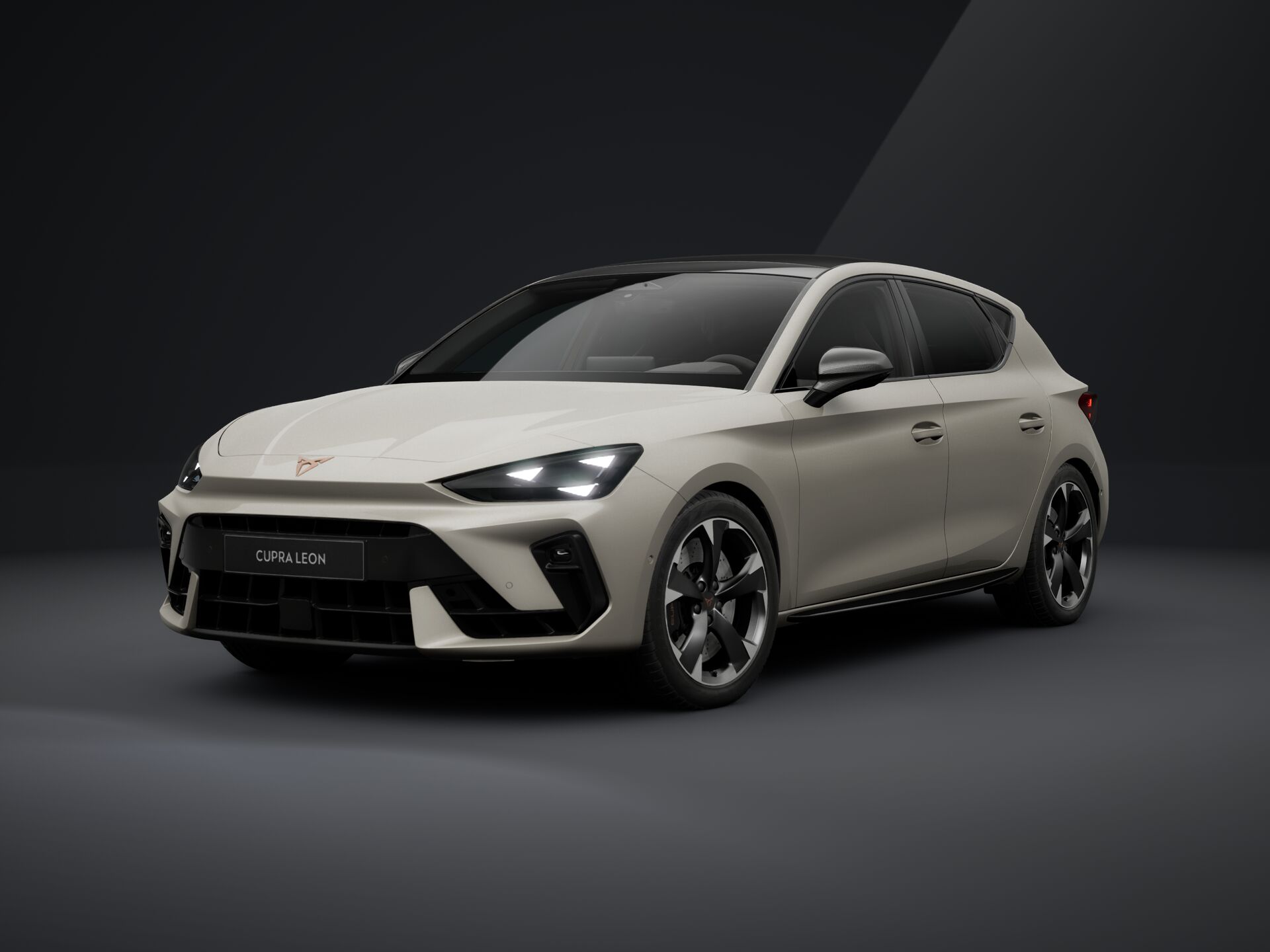 Зображення Leon VZ 2.0TSI 300 к.с. DSG
