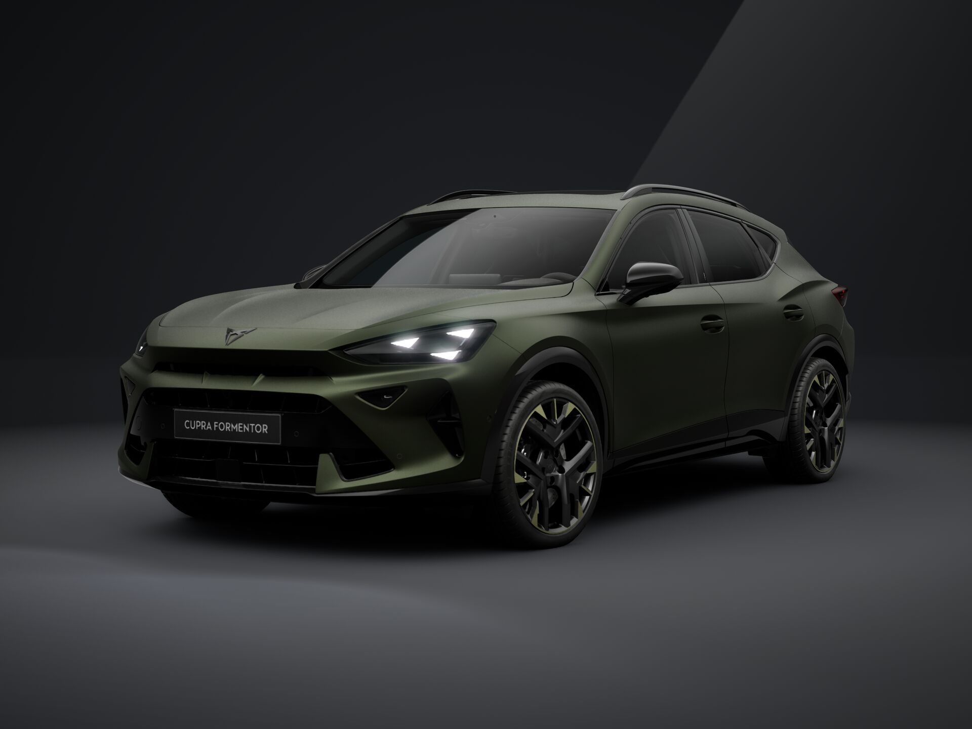 Зображення Formentor VZ 2.0 TSI 333 к.с. DSG 4Drive
