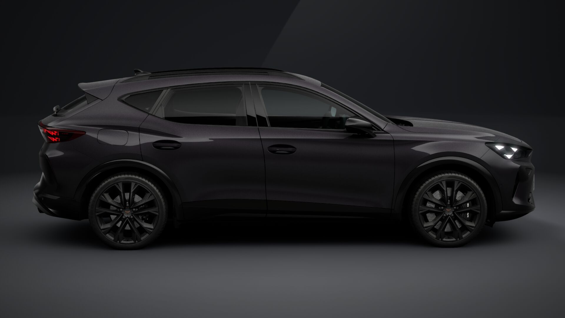 Зображення Formentor VZ 2.0 TSI 333 к.с. DSG 4Drive