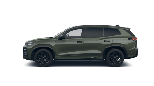 Зображення Tayron R-Line Platinum 2.0 TSI 4M