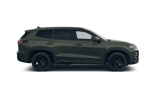 Зображення Tayron R-Line Platinum 2.0 TSI 4M