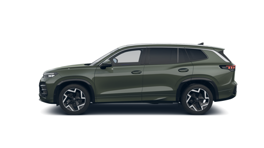 Зображення Tayron R-Line Platinum 2.0 TSI 4M