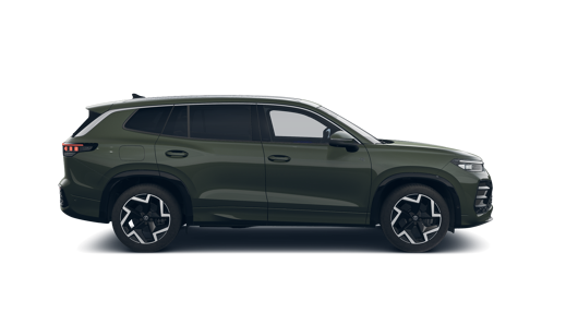 Зображення Tayron R-Line Platinum 2.0 TSI 4M
